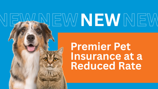 PetInsuranceHero-(7).png